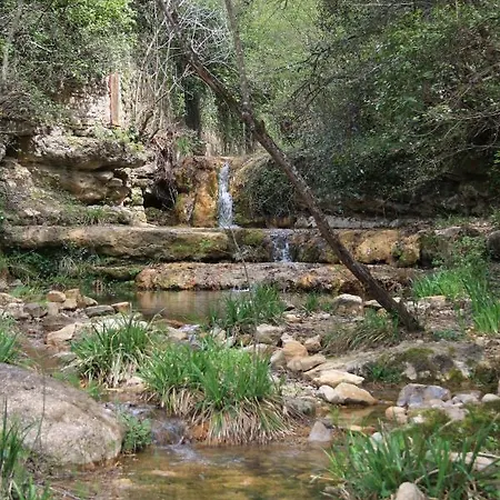 בית הארחה Le Therminus D Hotes Rennes-les-Bains